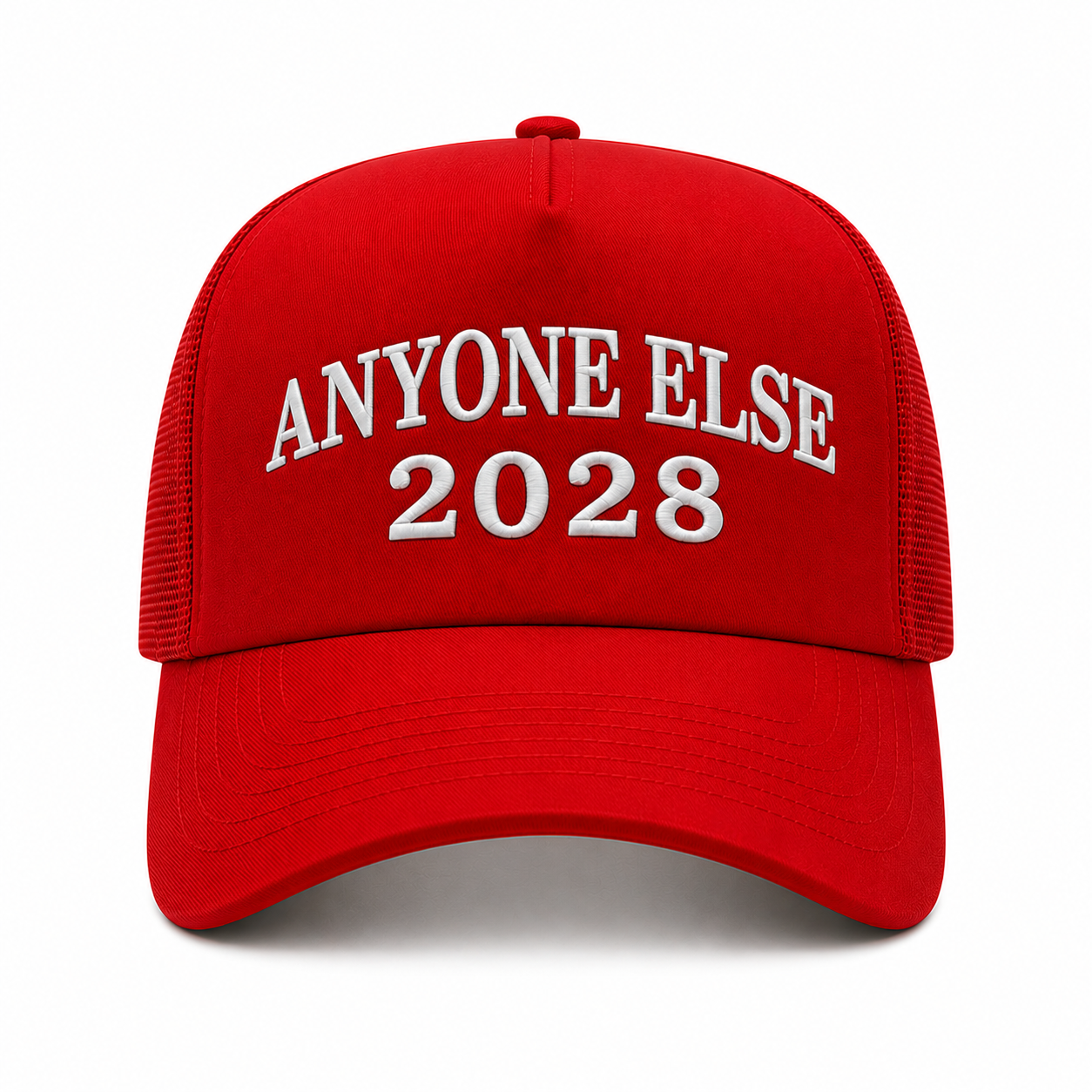 ANYONE ELSE 2028 — Embroidered Hat